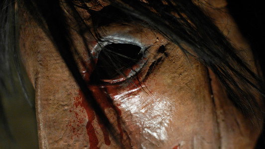 Saw IV