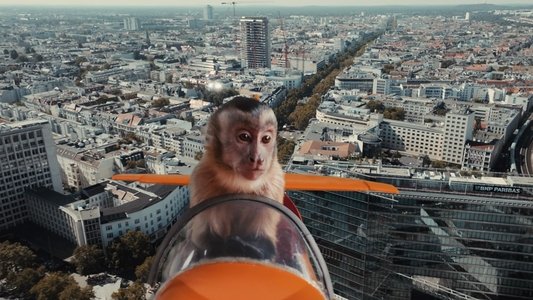 Akiko, der fliegende Affe
