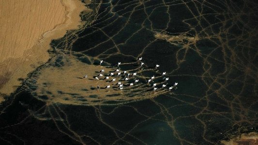 L'Algérie Vue Du Ciel