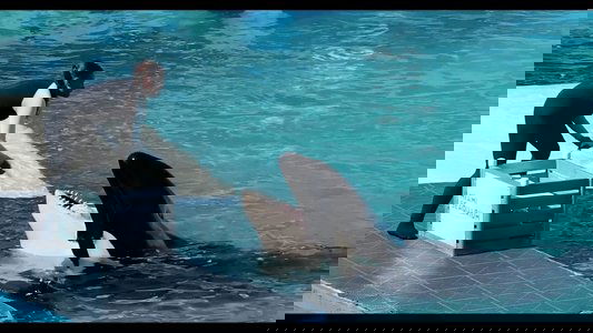 The Snake and the Whale