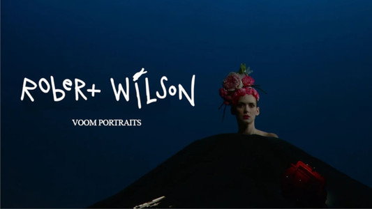 Voom Portraits