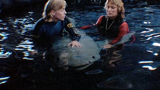 Jaws 3-D