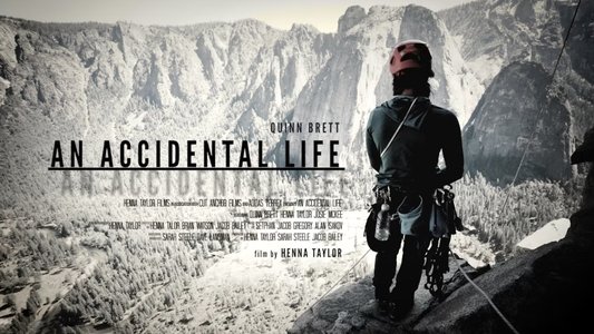 An Accidental Life