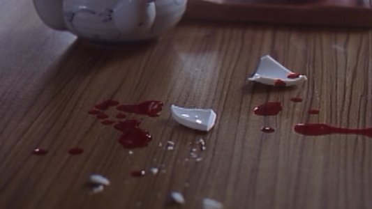 超いんらん　姉妹どんぶり