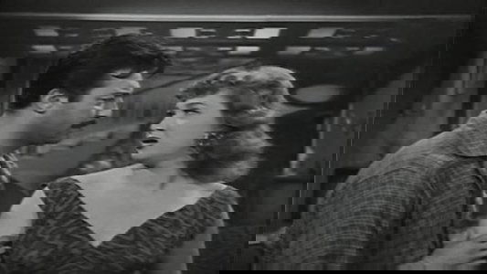 قاطع طريق
