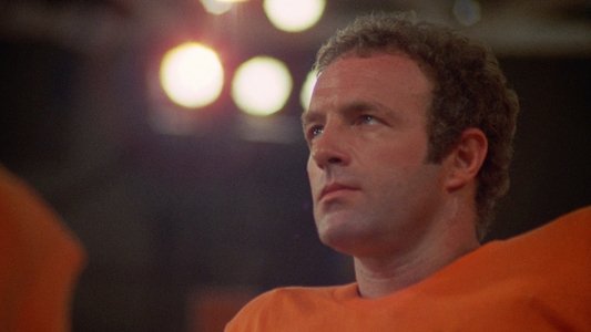 Rollerball