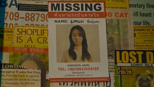 消失的她