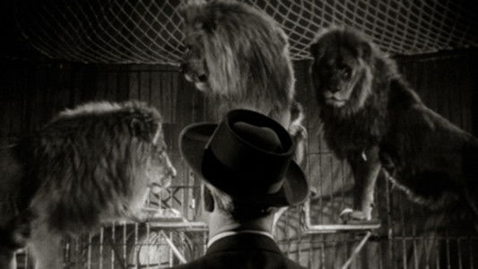 Keine Angst vor großen Tieren