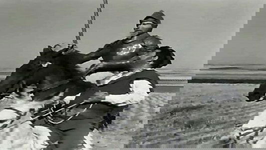 Don Quijote de la Mancha