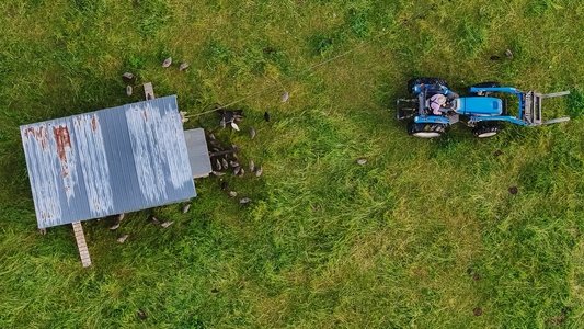 The Lunatic Farmer