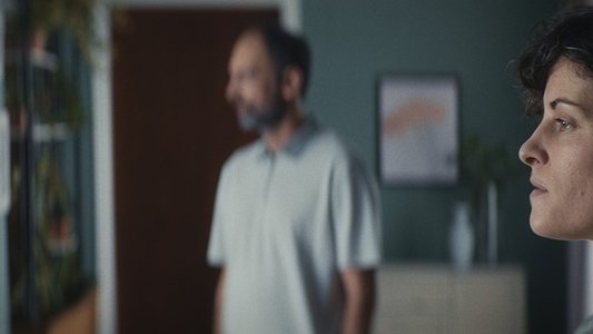 Κάμπια Νύμφη Πεταλούδα