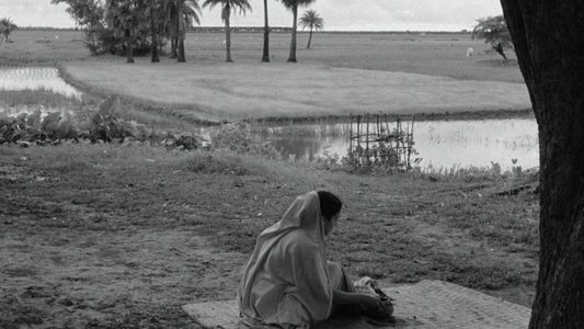 অপরাজিত