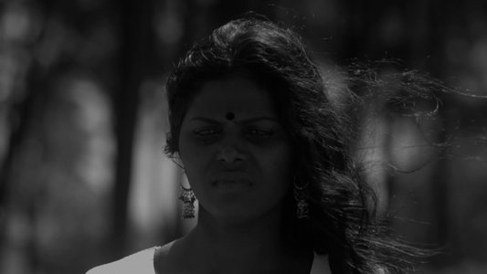 കളിപ്പാട്ടക്കാരന്‍