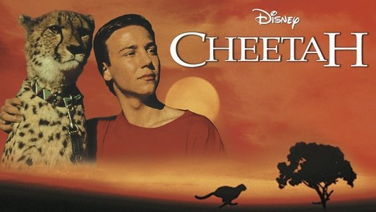 Cheetah