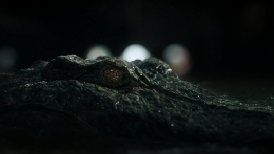 Crawl
