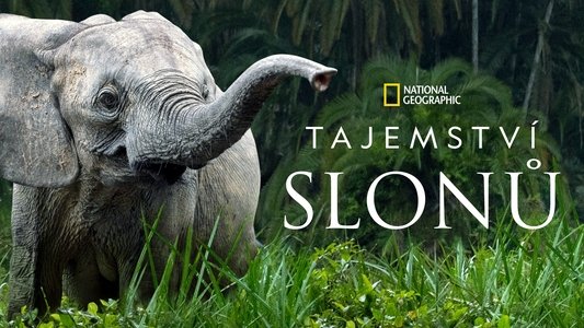 Secrets of the Elephants