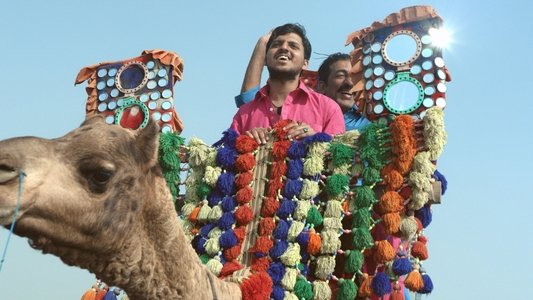 آوارہ کتے راتائن نو نکل دے