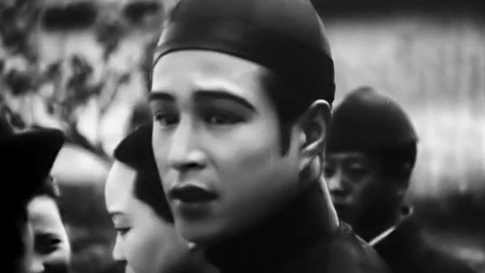 桃花泣血記