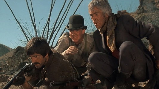 The Last Hard Men