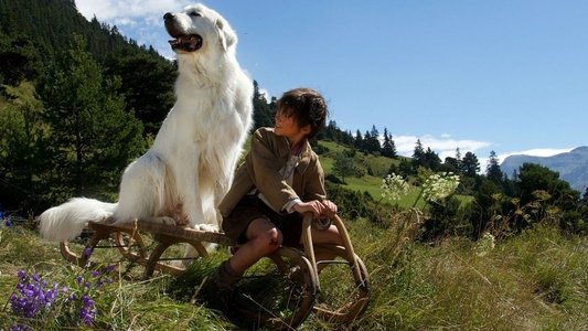 Belle et Sébastien, l'aventure continue