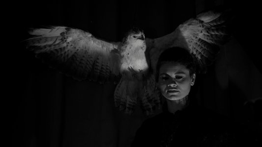 Le Viol du vampire