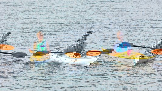 Making Waves