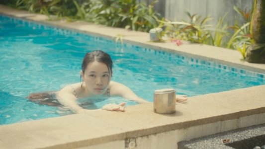 金魚缸小姐