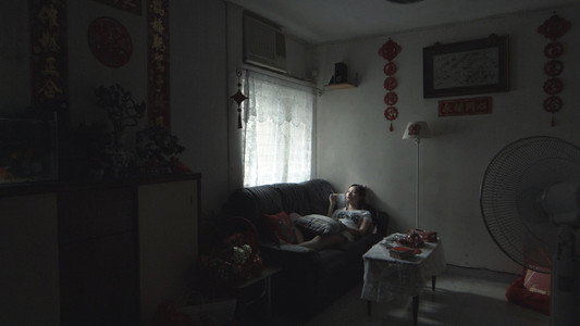 仙人掌