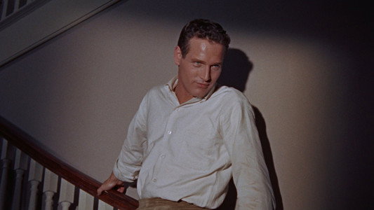 Cat on a Hot Tin Roof