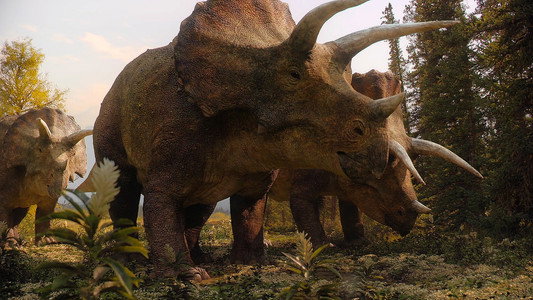 The Dinosaurs