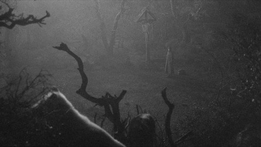Bram Stoker's Dracula