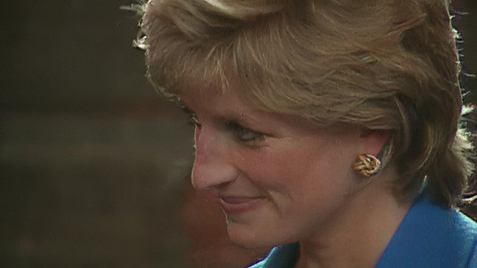 Diana, Princess of Wales: a Celebration of a Life