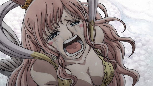 One Piece Log: Fish-Man Island Saga