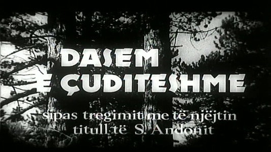 Dasëm e çuditëshme