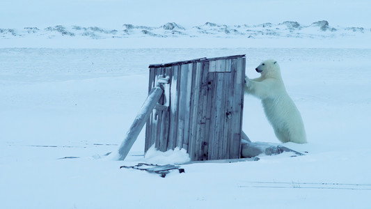 Frost uten Snø og Is
