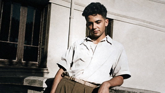 Maurice Audin, une histoire de mathématiciens