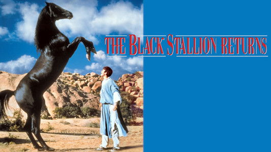 The Black Stallion Returns