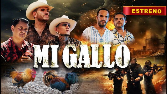 Mi Gallo