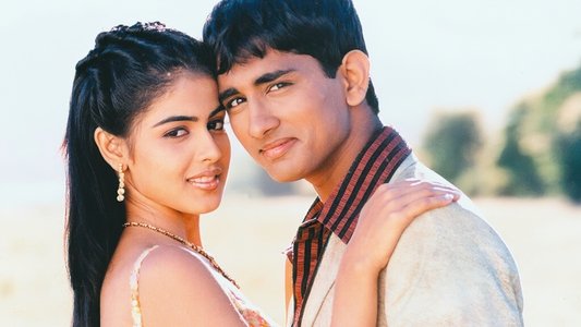 பாய்ஸ்
