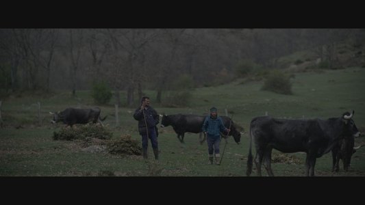 El molino