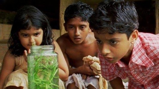 മഞ്ചാടിക്കുരു