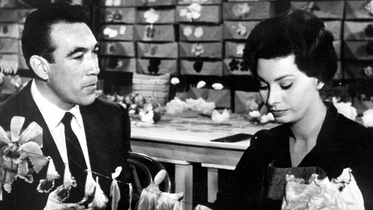 The Black Orchid