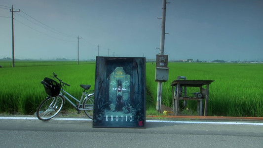 リリイ・シュシュのすべて