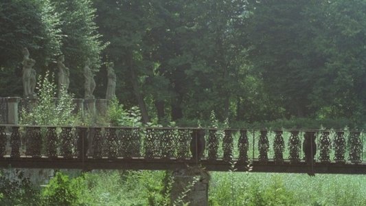 Die Marquise von O...