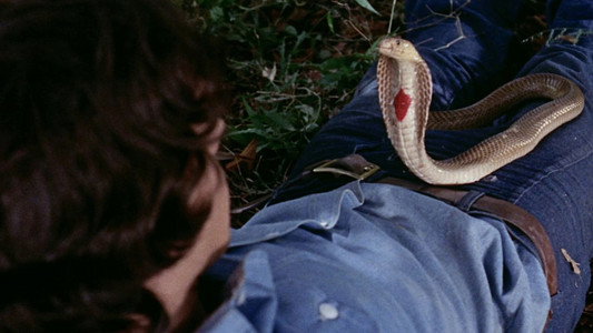 Night of the Cobra Woman