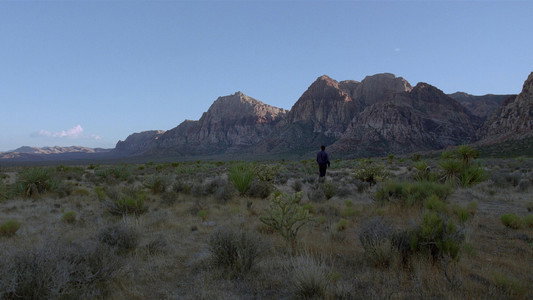Knight of Cups