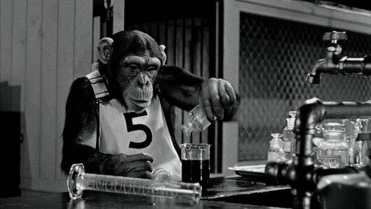 Monkey Business