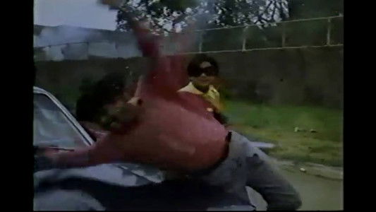 Alyas Batman En Robin