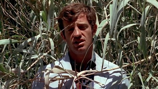 Pierrot le fou