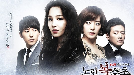 노란 복수초